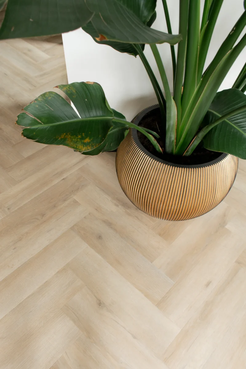 Gelasta Artline Visgraat 1260