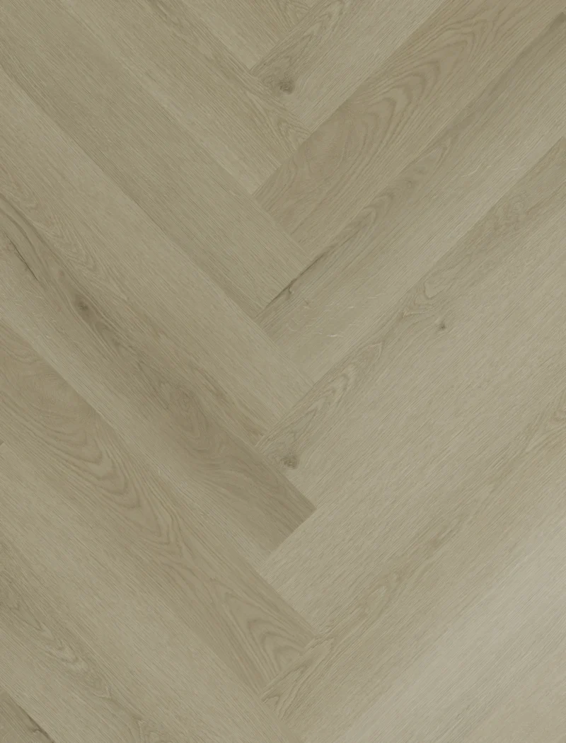 Gelasta Sierra Visgraat 2100