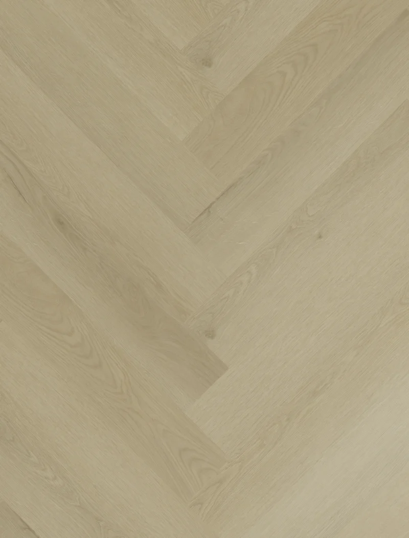 Gelasta Sierra Visgraat 2102