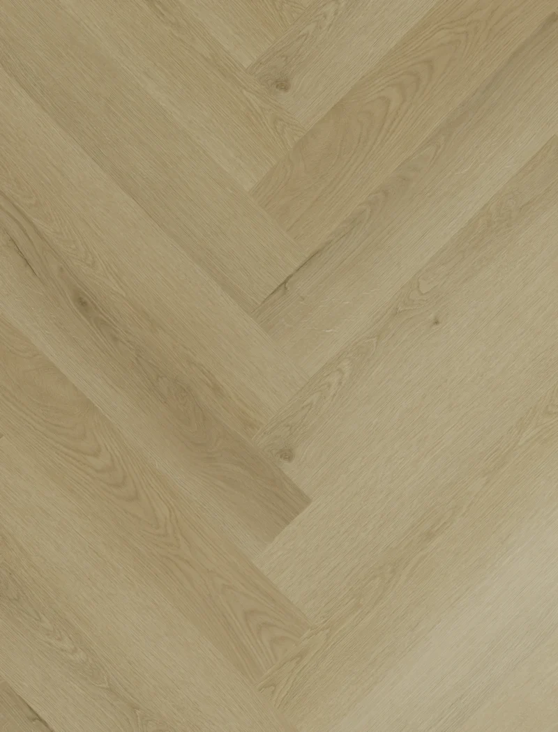 Gelasta Sierra Visgraat 2103