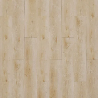 Gelasta Dynamic 2500