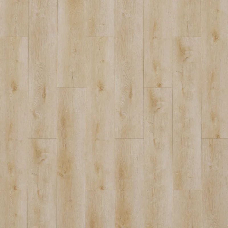 Gelasta Dynamic 2500