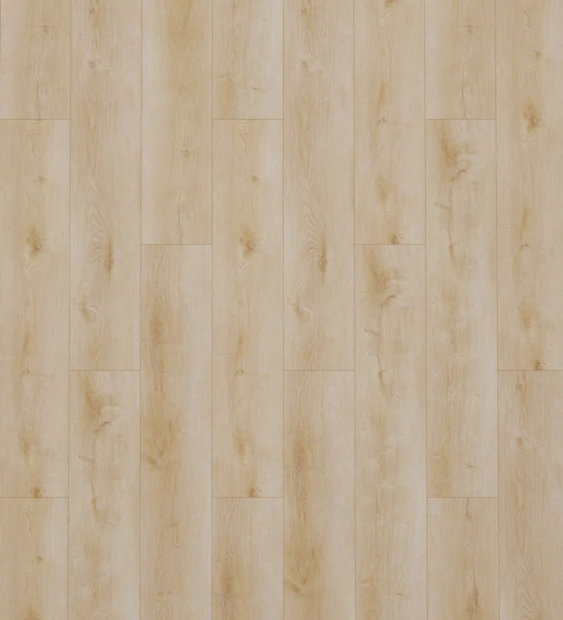 Gelasta Dynamic 2500