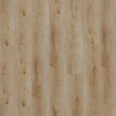 Gelasta Dynamic 2501