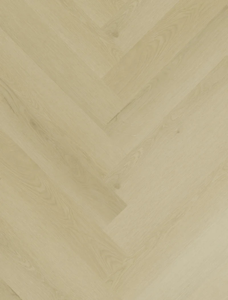 Gelasta Sierra Visgraat 3101