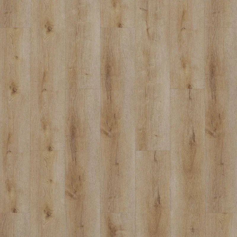 Gelasta Dynamic 3501