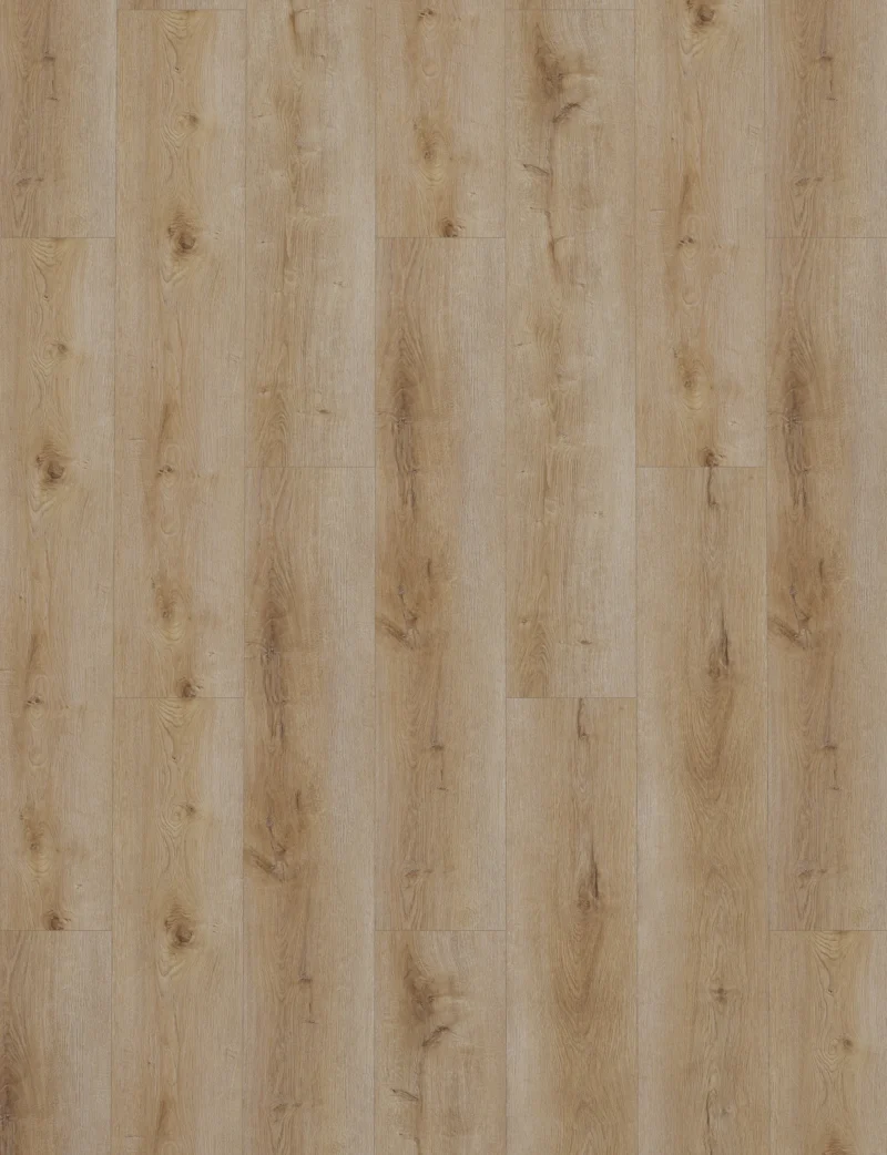 Gelasta Dynamic 3501