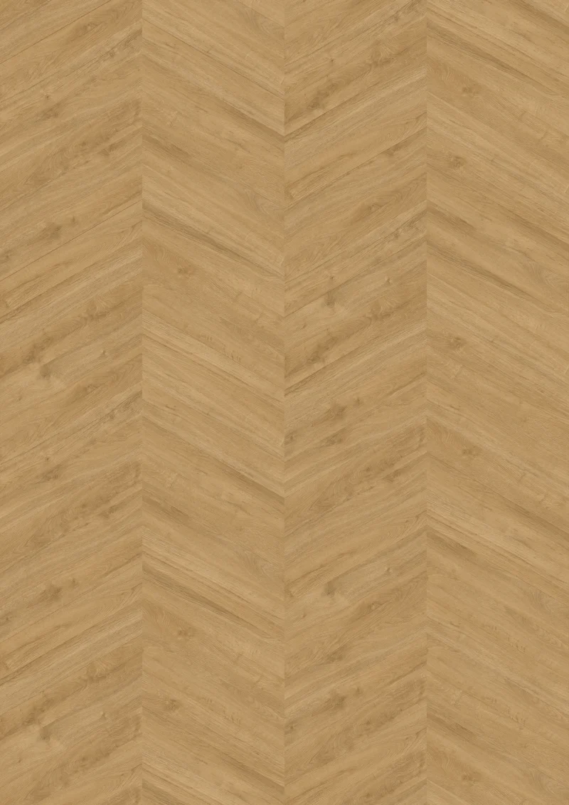 Gelasta Oakland Special 3701