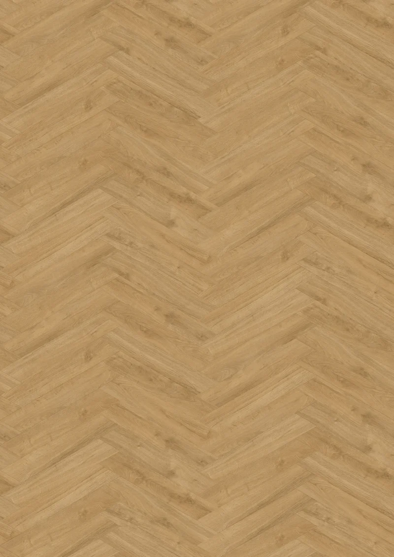 Gelasta Oakland Special 3701