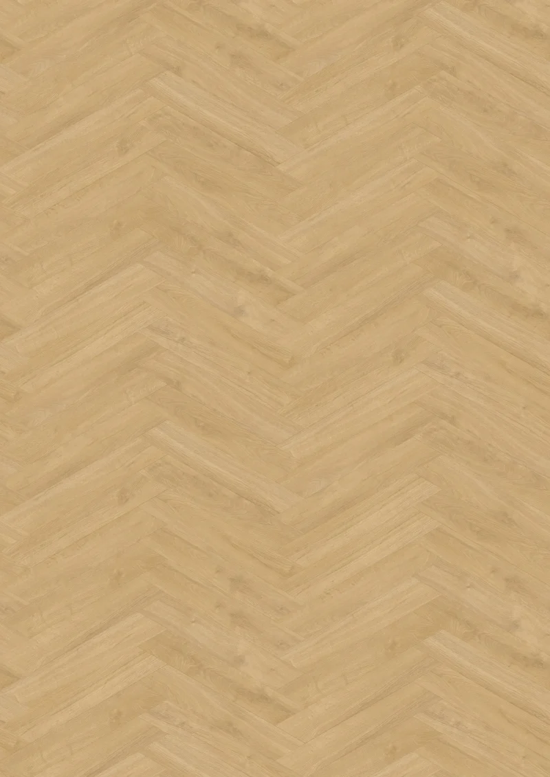 Gelasta Oakland Special 3702