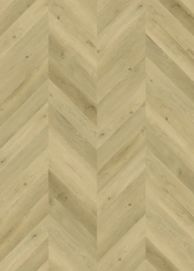 Gelasta Vario Special 3804