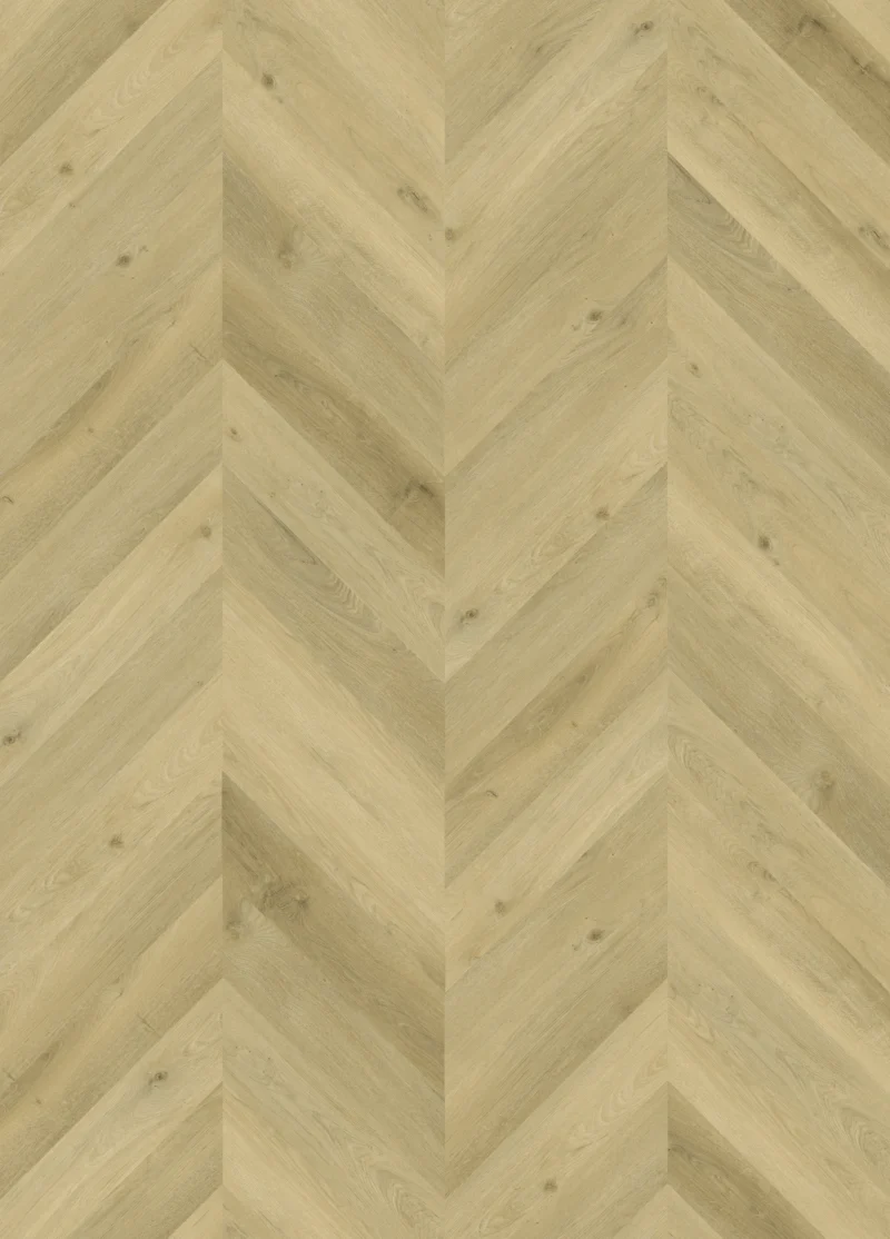 Gelasta Vario Special 3804