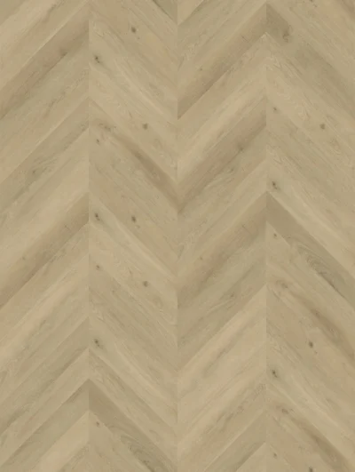 Gelasta Vario Special 3805