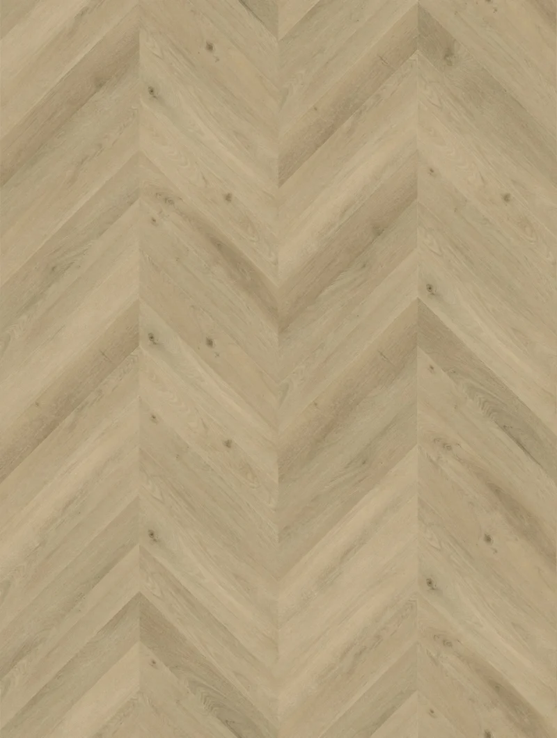 Gelasta Vario Special 3805