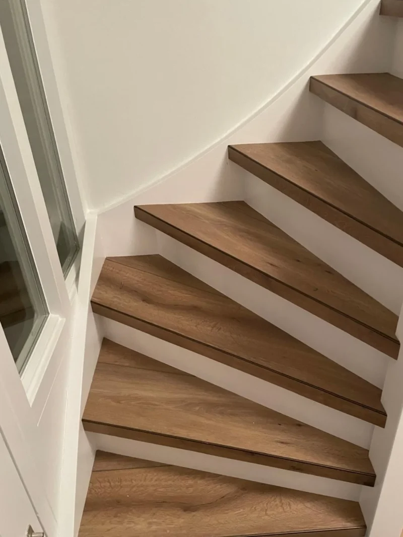 Gelasta Callisto 4102