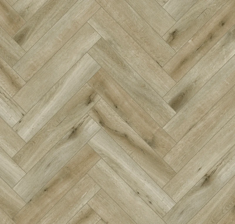 Gelasta Callisto Visgraat 4201