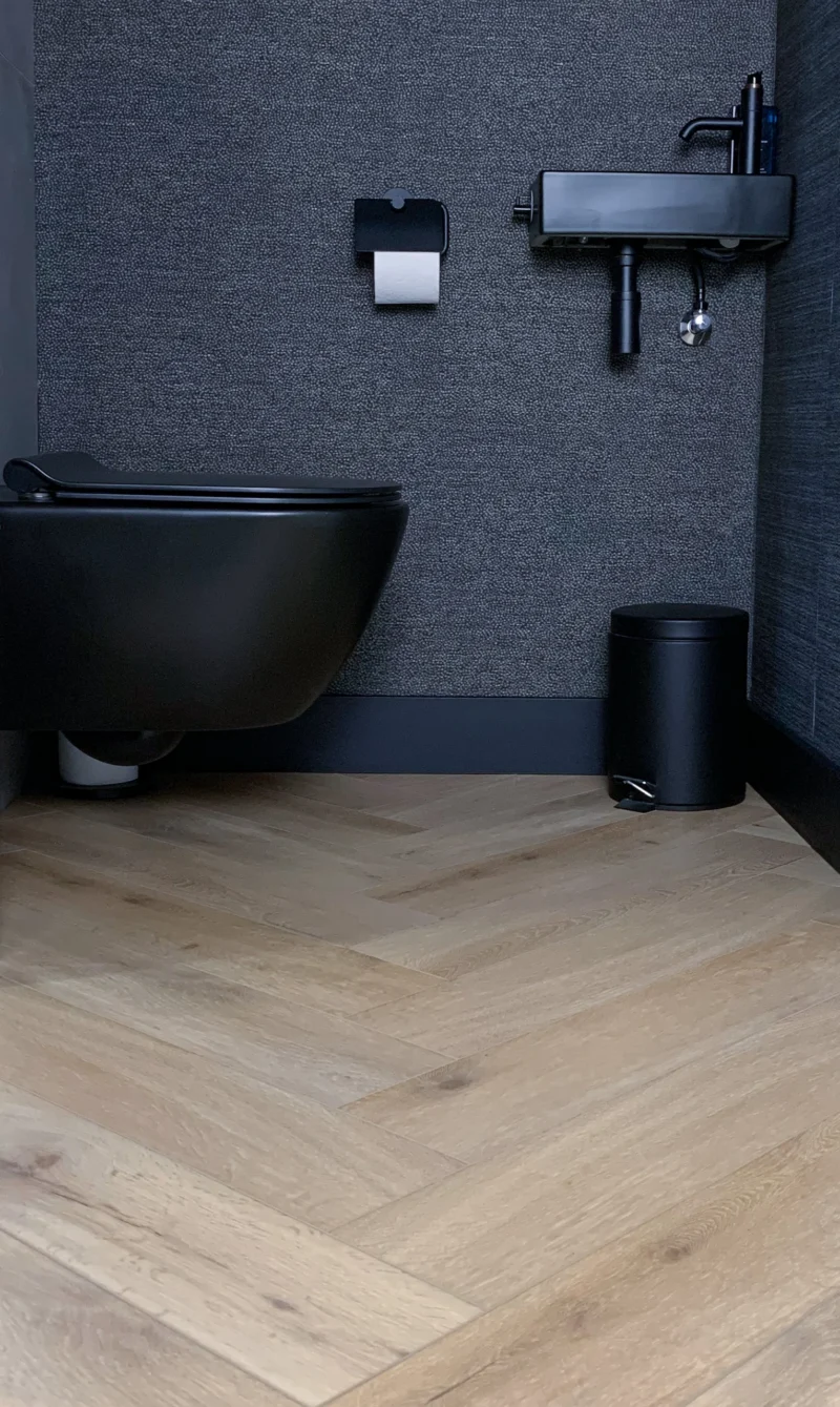 Gelasta Callisto Visgraat 4201