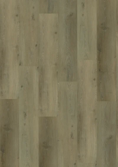 Gelasta Country 4301