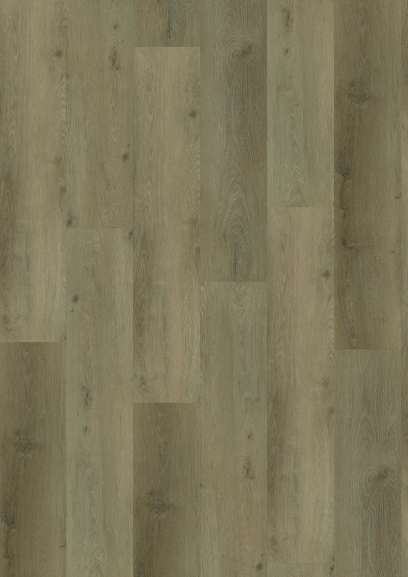 Gelasta Country 4301