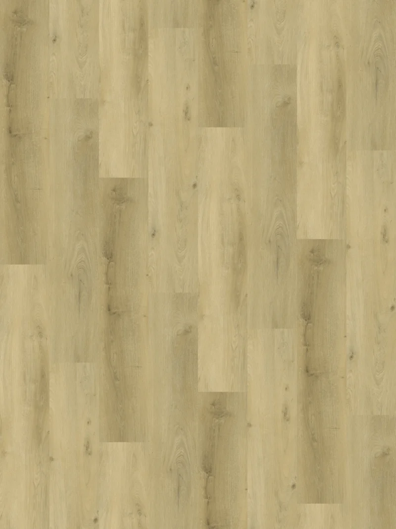 Gelasta Country 4304