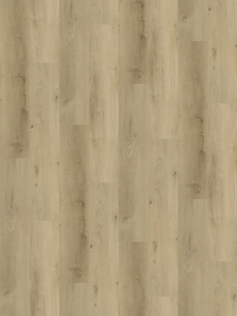 Gelasta Country 4305