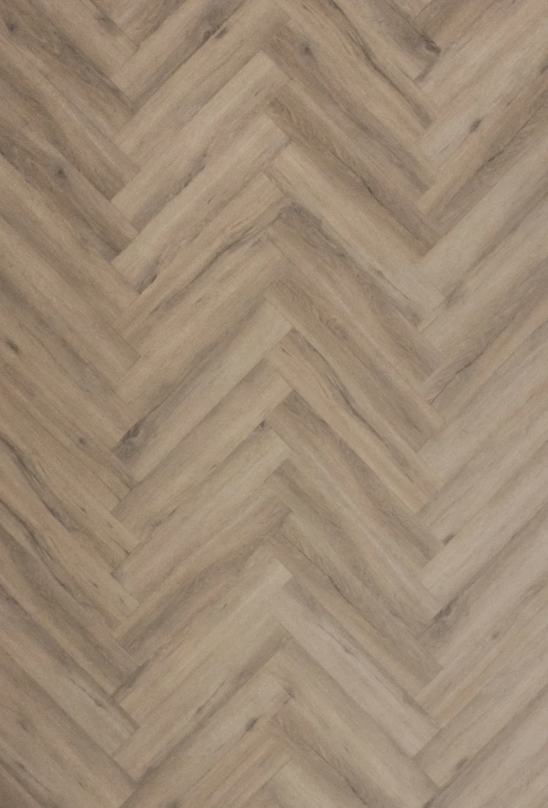 Gelasta City Visgraat 4700