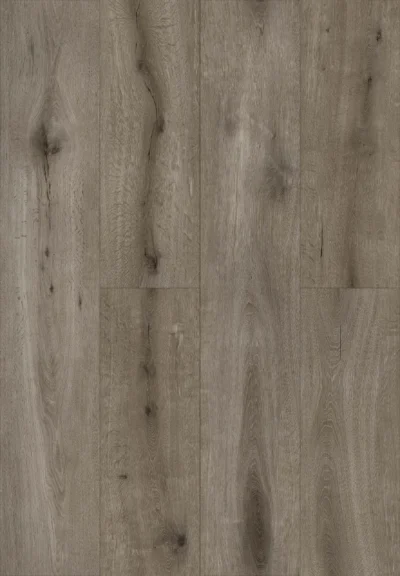 Gelasta Callisto 5105