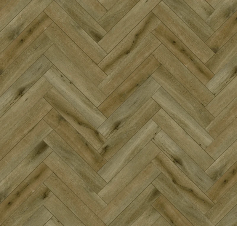 Gelasta Callisto Visgraat 5200