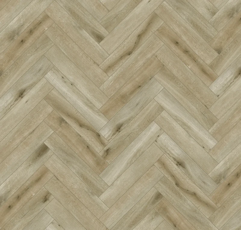 Gelasta Callisto Visgraat 5201