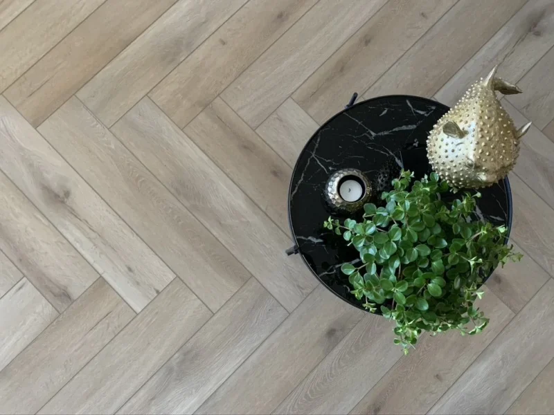 Gelasta Callisto Visgraat 5201