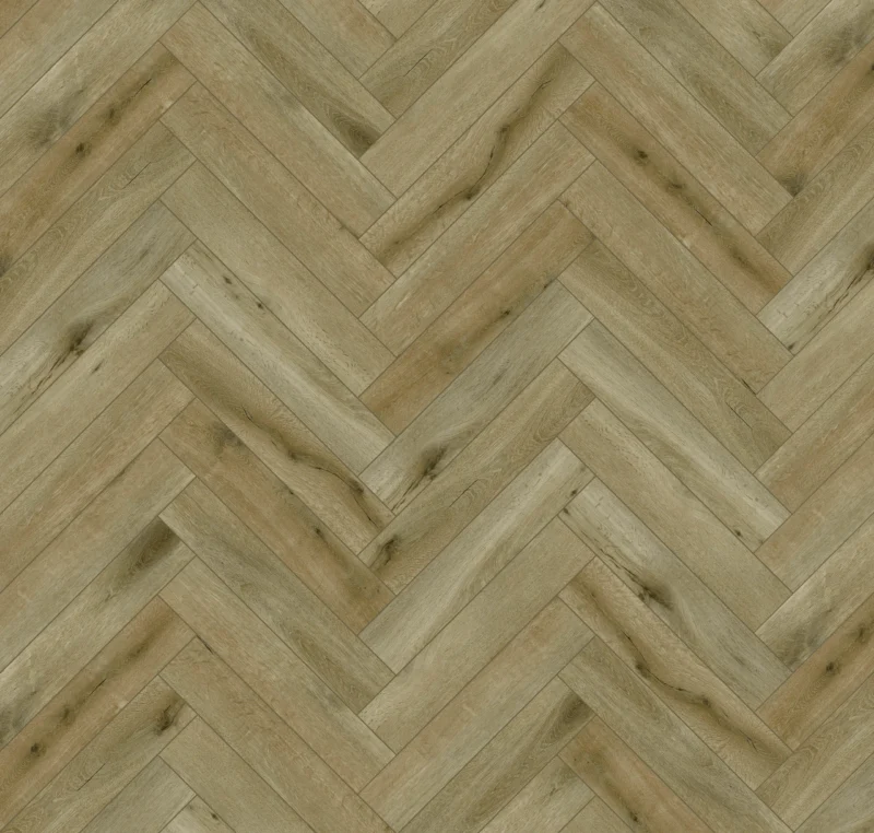 Gelasta Callisto Visgraat 5202