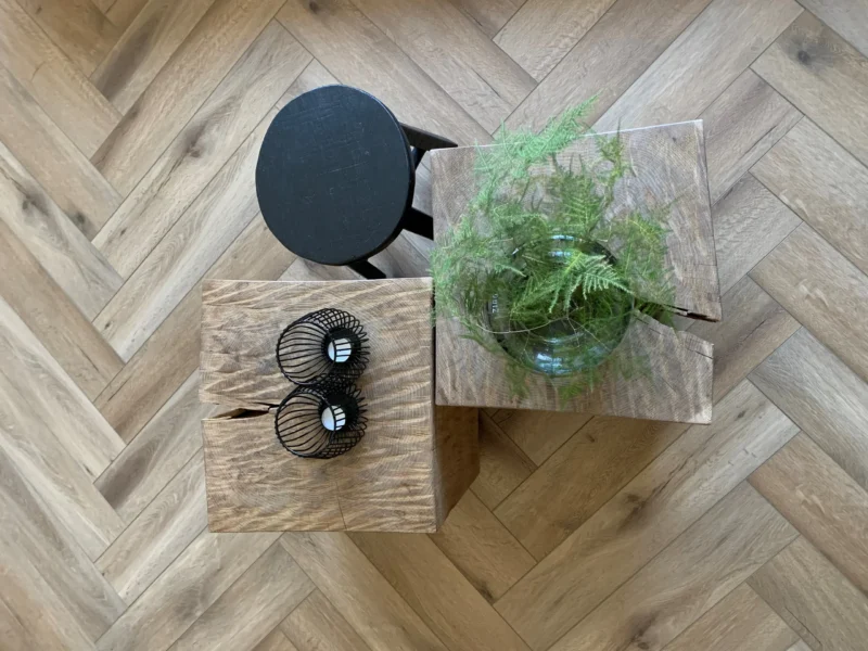 Gelasta Callisto Visgraat 5202