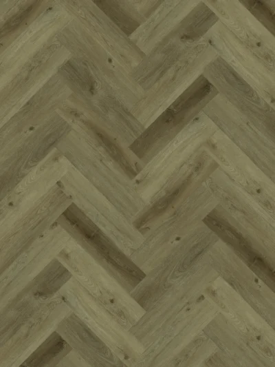 Gelasta Vario Visgraat 5401