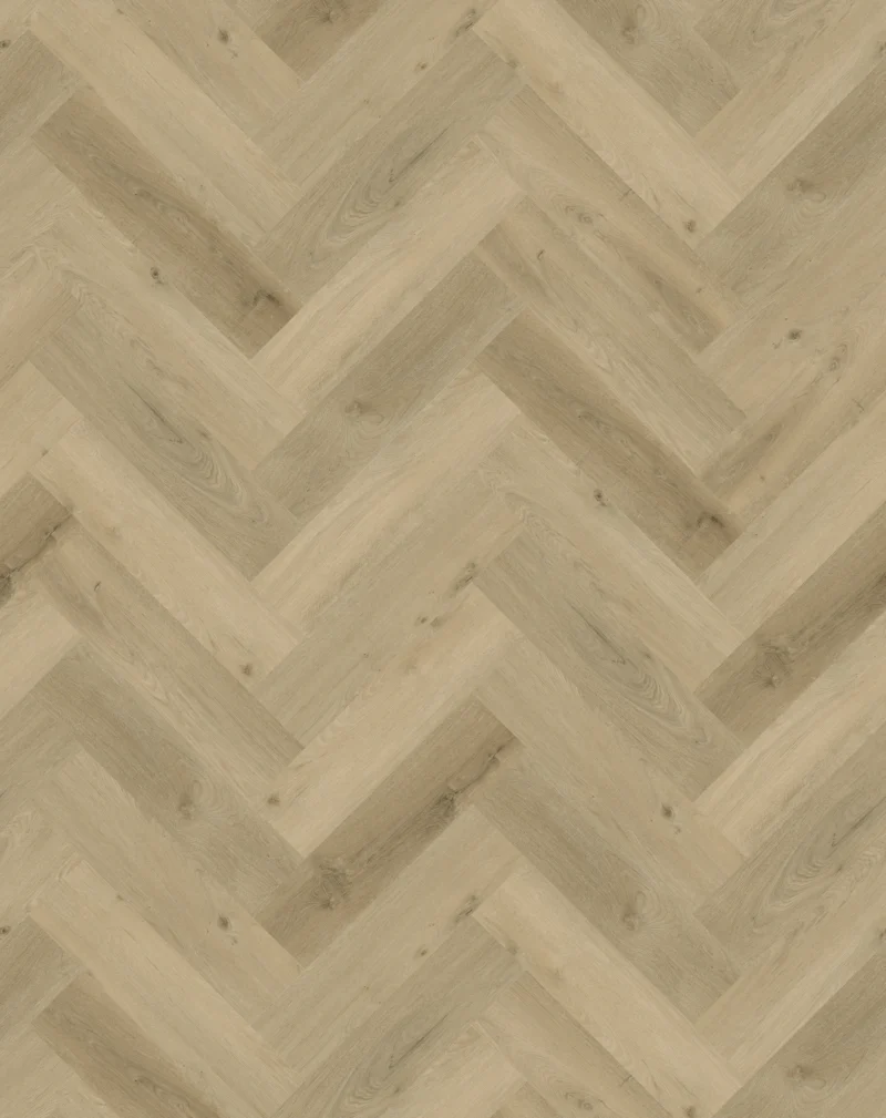 Gelasta Vario Visgraat 5405