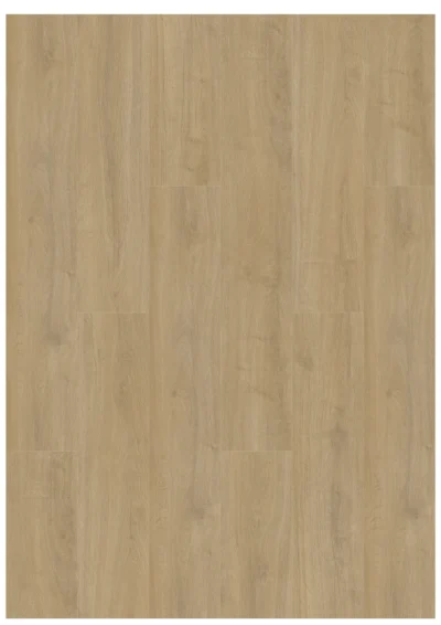 Gelasta Oakland 6100