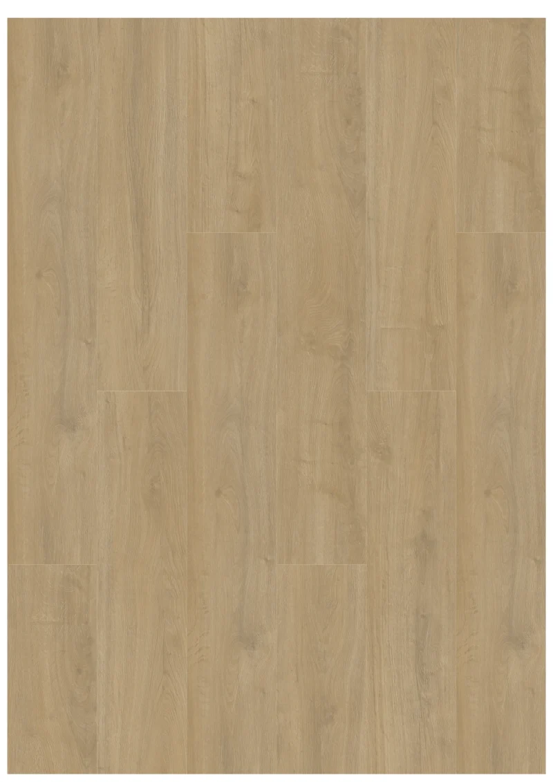 Gelasta Oakland 6100