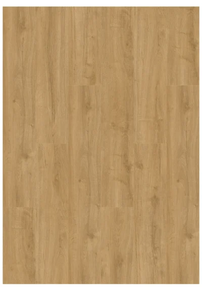 Gelasta Oakland 6101