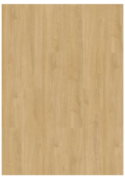 Gelasta Oakland 6102