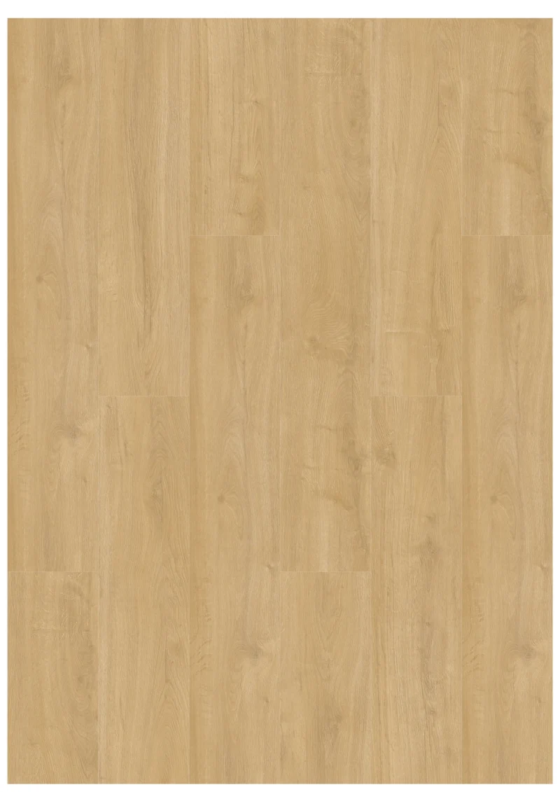 Gelasta Oakland 6102