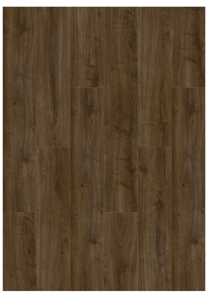 Gelasta Oakland 6103