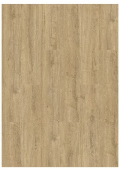 Gelasta Oakland 6104