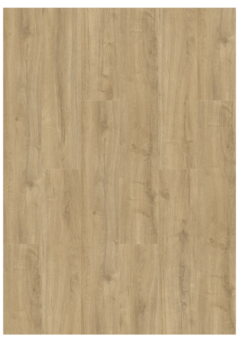 Gelasta Oakland 6104