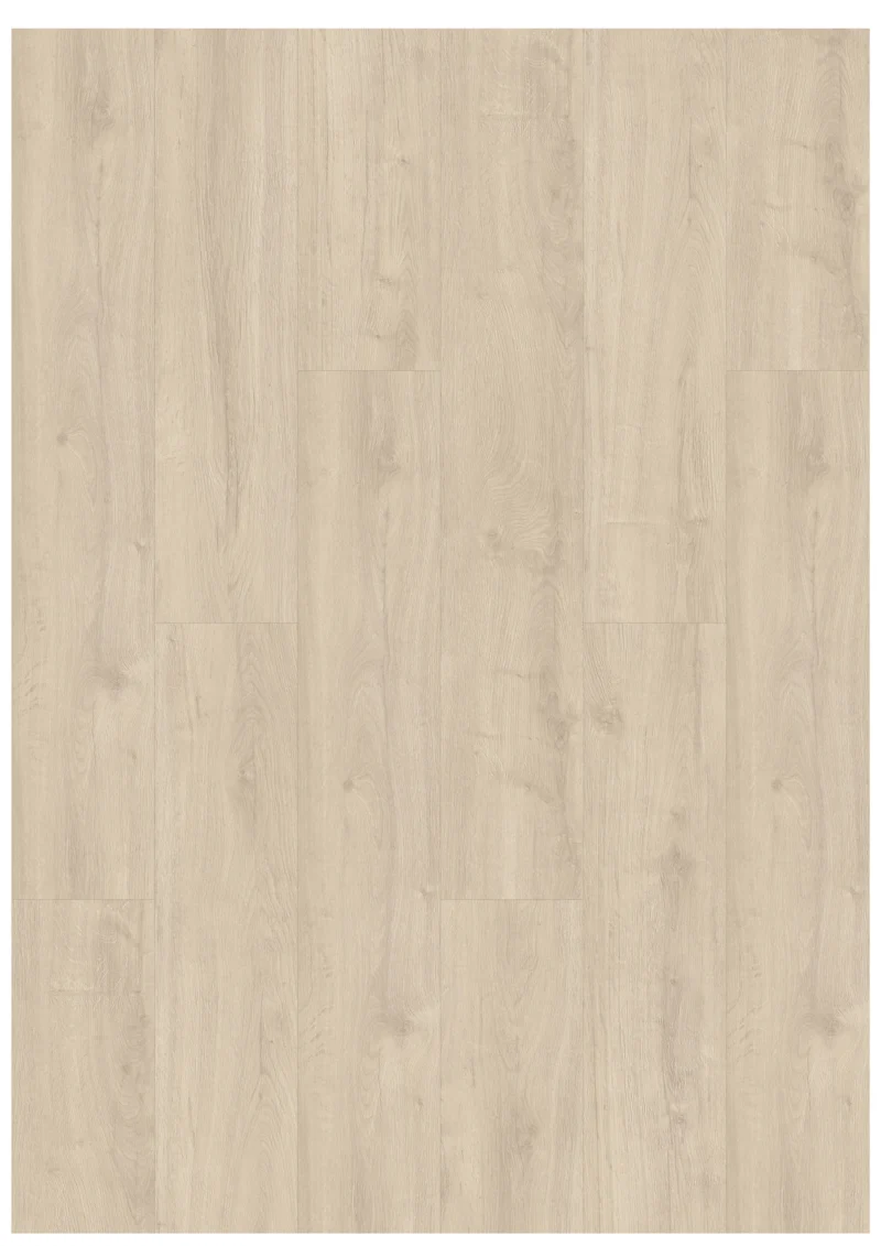 Gelasta Oakland 6105