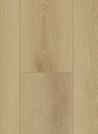 Gelasta Firmfit 6500