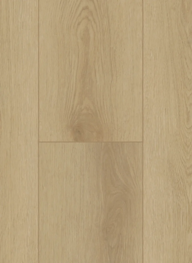 Gelasta Firmfit 6500