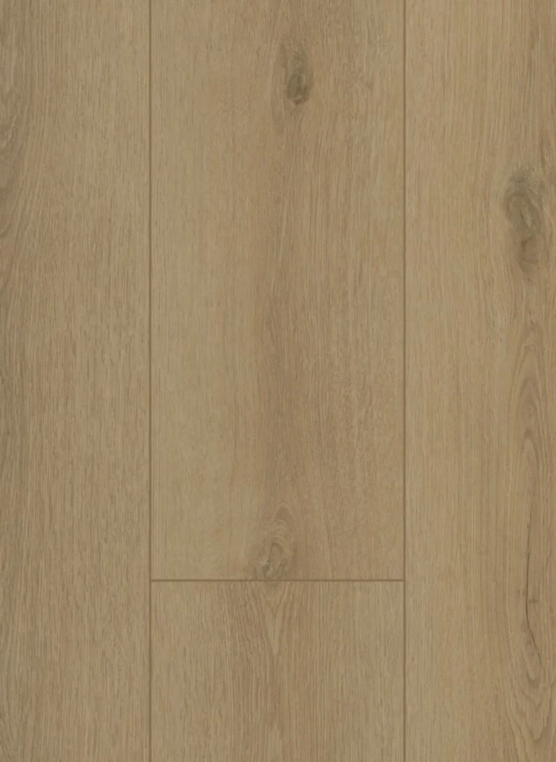 Gelasta Firmfit 6501