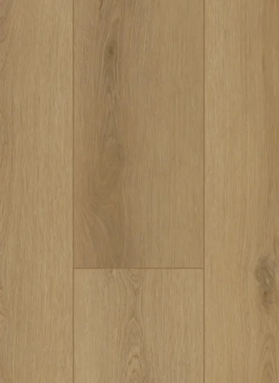 Gelasta Firmfit 6502