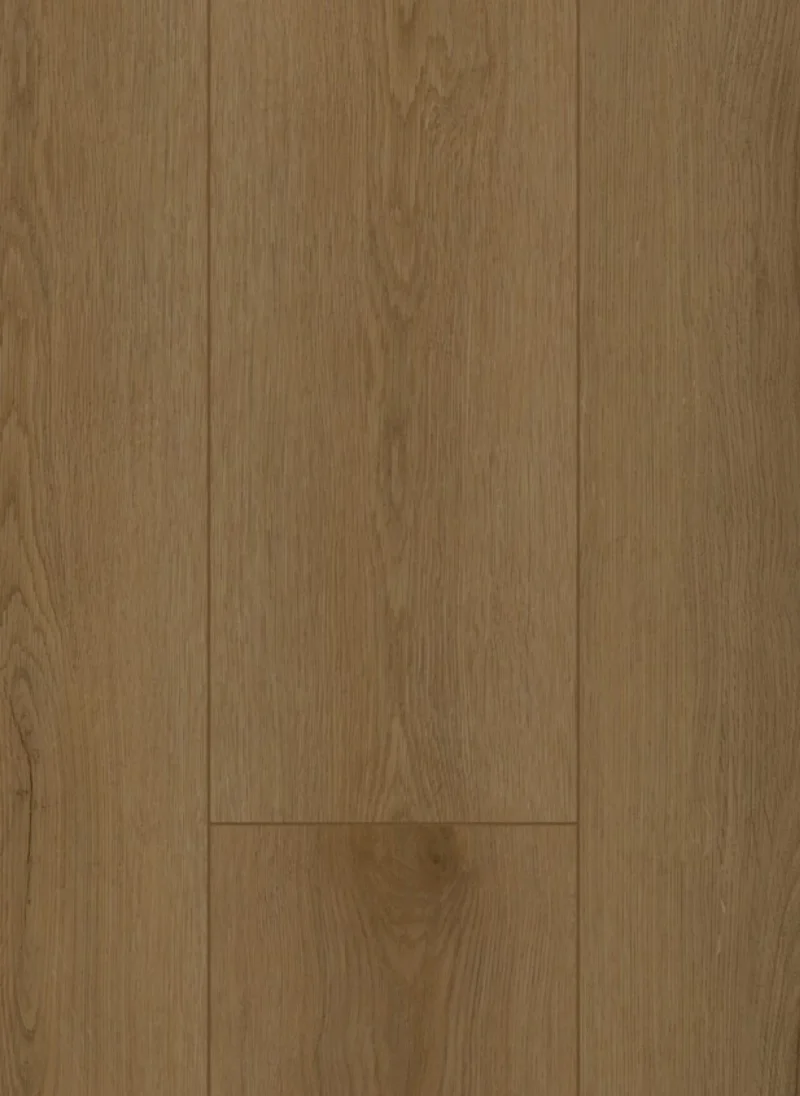 Gelasta Firmfit 6503