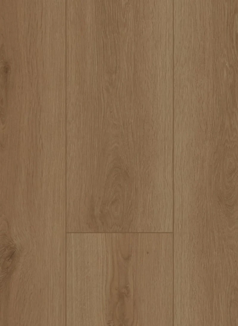 Gelasta Firmfit 6700