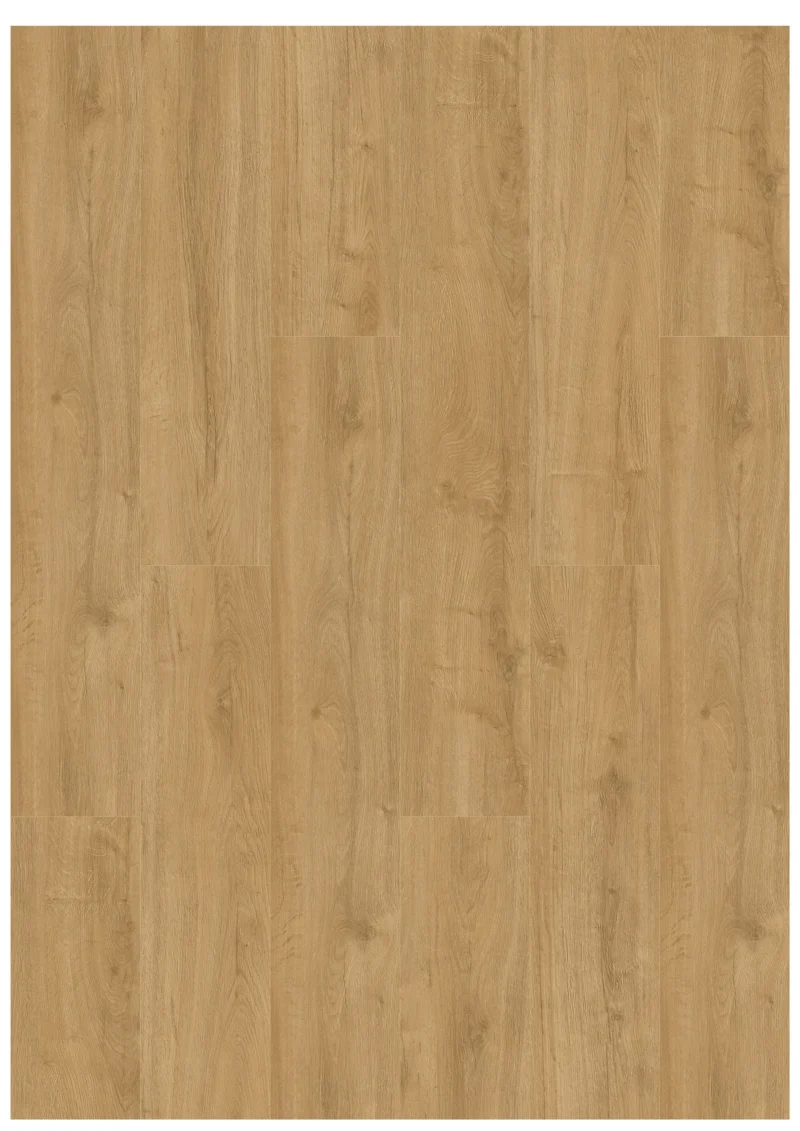 Gelasta Oakland 7101